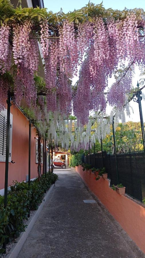 Casa Vacanze Mimose Palinuro Extérieur photo