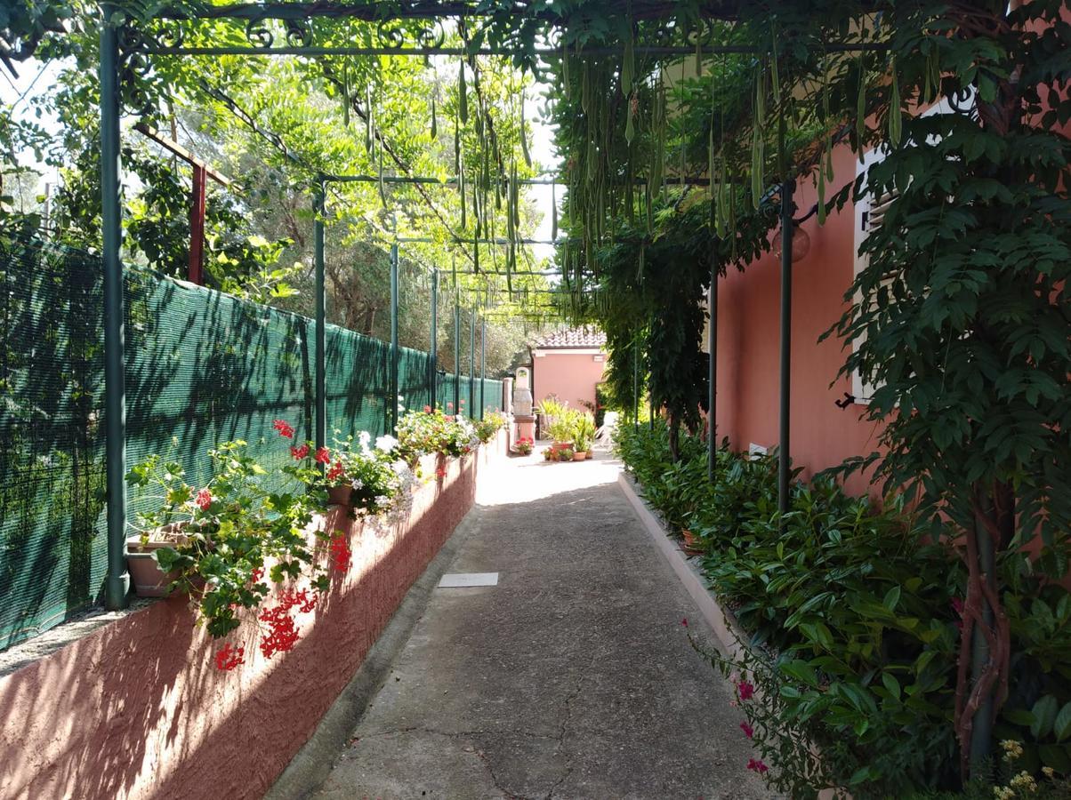 Casa Vacanze Mimose Palinuro Extérieur photo