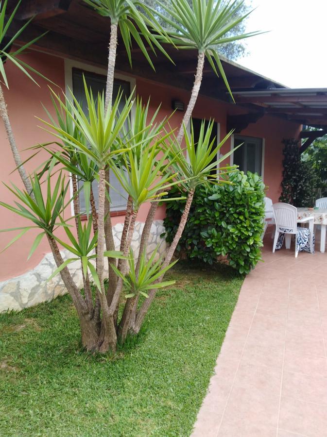 Casa Vacanze Mimose Palinuro Extérieur photo