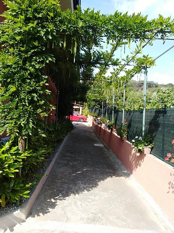 Casa Vacanze Mimose Palinuro Extérieur photo
