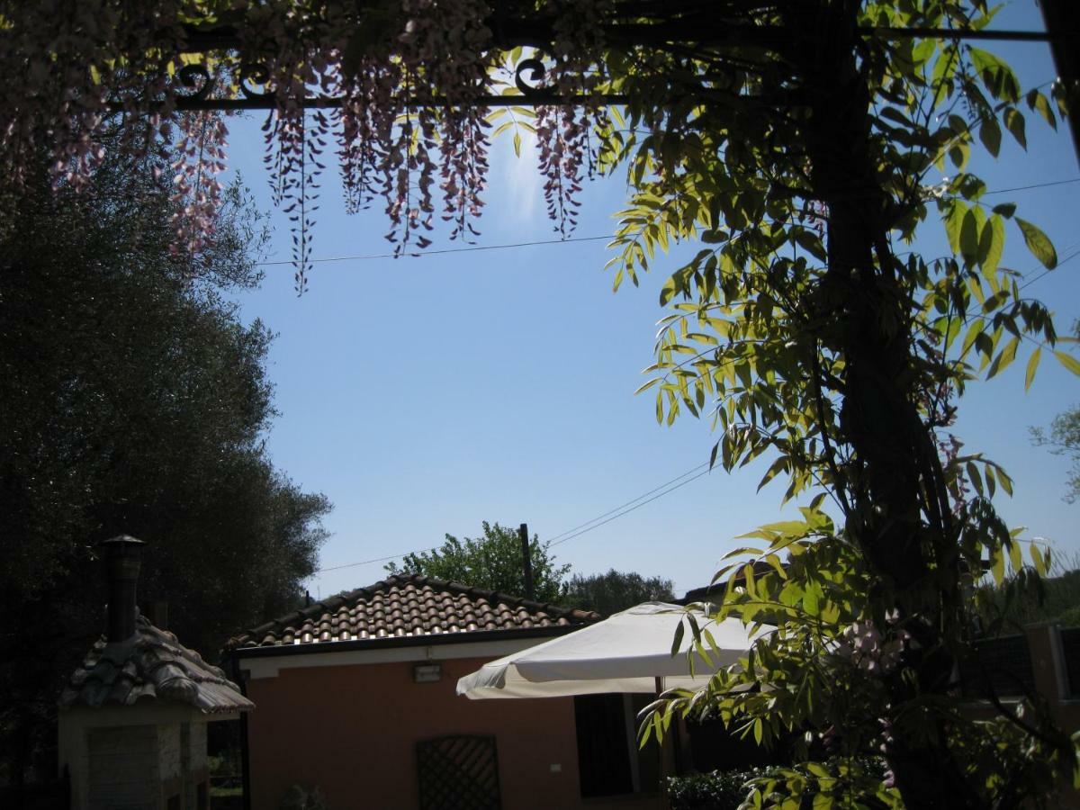 Casa Vacanze Mimose Palinuro Extérieur photo